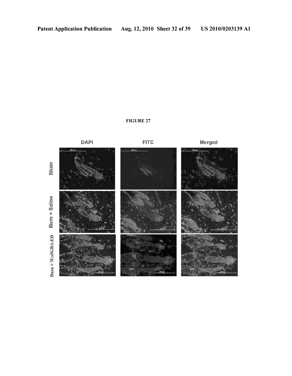 NANOEMULSION THERAPEUTIC COMPOSITIONS AND METHODS OF USING THE SAME - diagram, schematic, and image 33