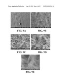 Immobilized Metallic Nanoparticles as Unique Materials for Therapeutic and Biosensor Applications diagram and image