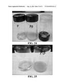 Immobilized Metallic Nanoparticles as Unique Materials for Therapeutic and Biosensor Applications diagram and image