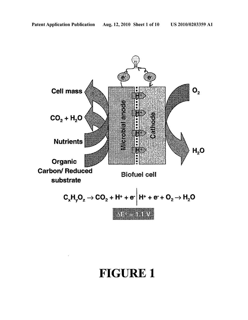 MICROBIAL FUEL CELL TREATMENT OF ETHANOL FERMENTATION PROCESS WATER - diagram, schematic, and image 02