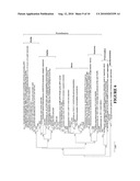 MICROBIAL FUEL CELL TREATMENT OF ETHANOL FERMENTATION PROCESS WATER diagram and image