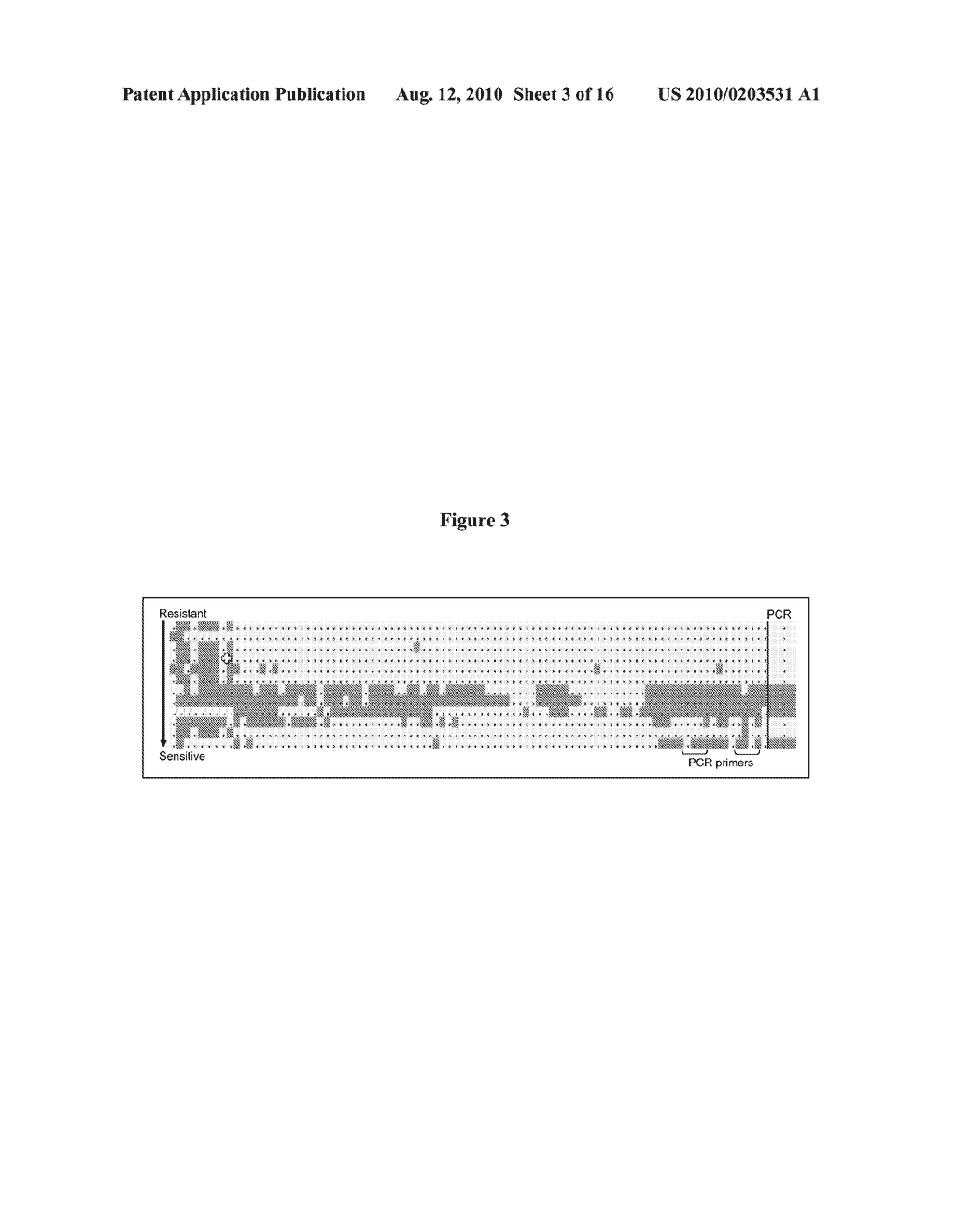 PREDICTING RESPONSIVENESS TO TEMOZOLOMIDE - diagram, schematic, and image 04