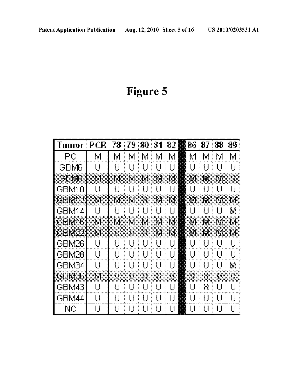 PREDICTING RESPONSIVENESS TO TEMOZOLOMIDE - diagram, schematic, and image 06