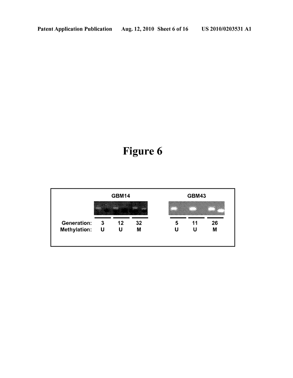 PREDICTING RESPONSIVENESS TO TEMOZOLOMIDE - diagram, schematic, and image 07