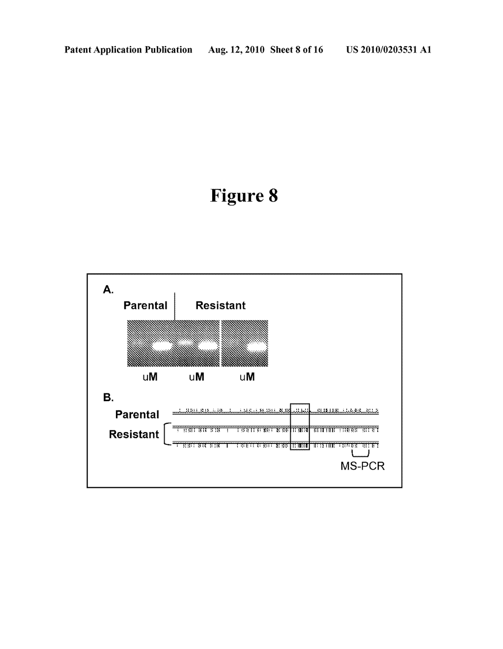 PREDICTING RESPONSIVENESS TO TEMOZOLOMIDE - diagram, schematic, and image 09