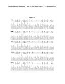 PREDICTING RESPONSIVENESS TO TEMOZOLOMIDE diagram and image