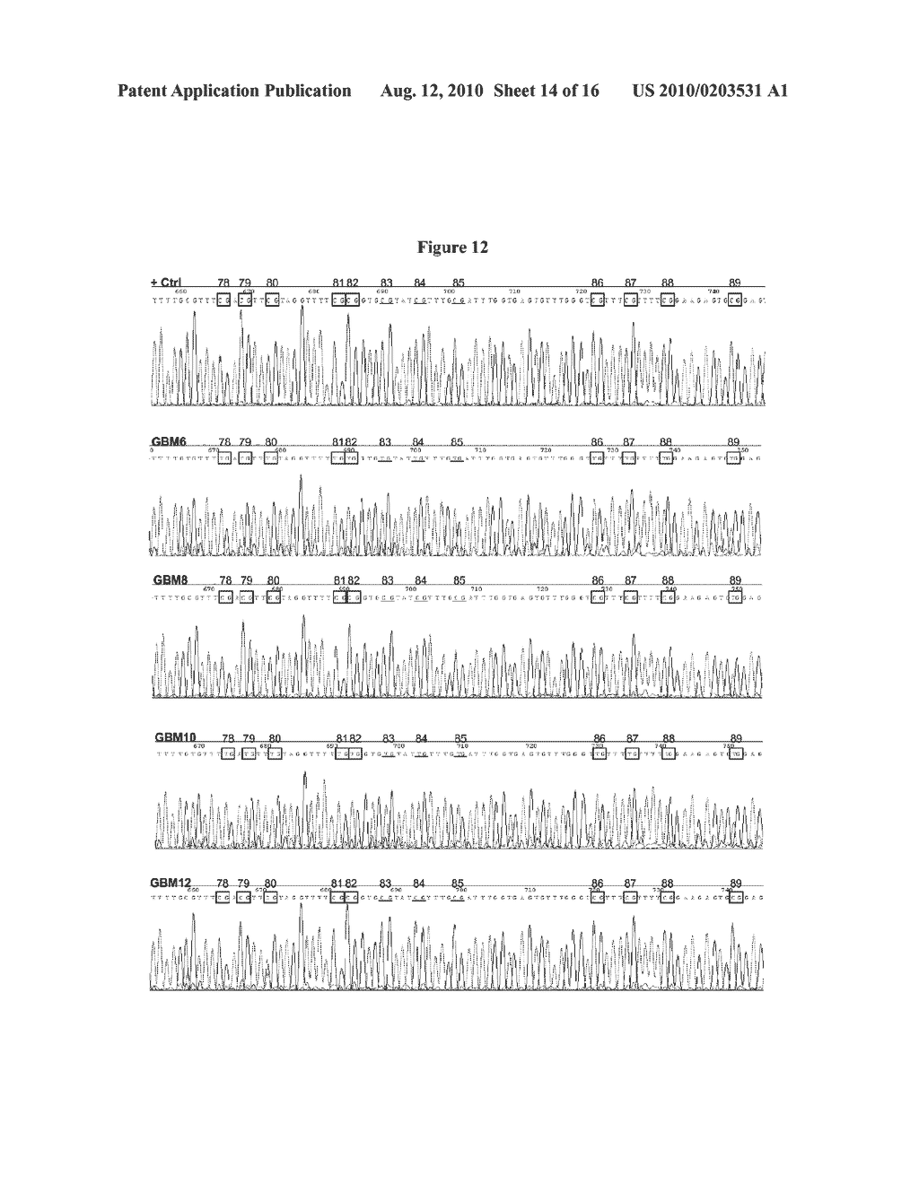 PREDICTING RESPONSIVENESS TO TEMOZOLOMIDE - diagram, schematic, and image 15