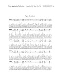 PREDICTING RESPONSIVENESS TO TEMOZOLOMIDE diagram and image