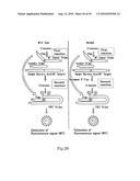 Allele Determining Device, Allele Determining Method And Computer Program diagram and image