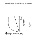 Allele Determining Device, Allele Determining Method And Computer Program diagram and image