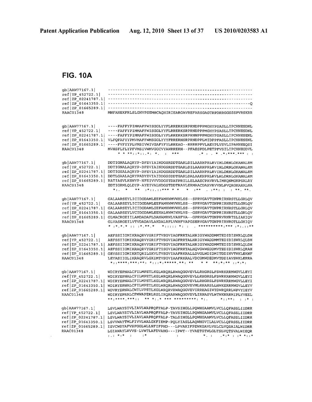 Alteration and modulation of protein activity by varying post-translational modification - diagram, schematic, and image 14