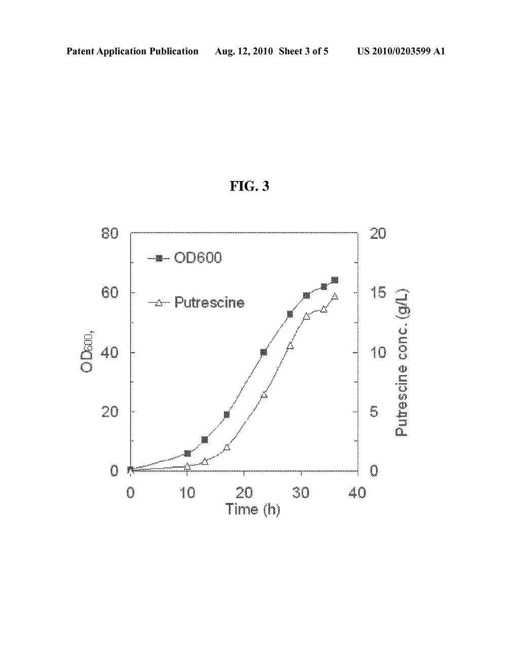 MUTANT MICROORGANISMS HAVING A HIGH ABILITY TO PRODUCE PUTRESCINE AND METHOD FOR PRODUCING PUTRESCINE USING THE SAME - diagram, schematic, and image 04