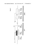 METHODS FOR CONTROLLING STEM CELL DIFFERENTIATION diagram and image