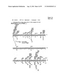 METHODS FOR CONTROLLING STEM CELL DIFFERENTIATION diagram and image