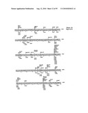 METHODS FOR CONTROLLING STEM CELL DIFFERENTIATION diagram and image