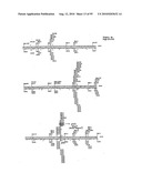 METHODS FOR CONTROLLING STEM CELL DIFFERENTIATION diagram and image