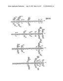 METHODS FOR CONTROLLING STEM CELL DIFFERENTIATION diagram and image