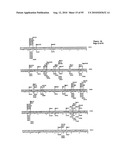 METHODS FOR CONTROLLING STEM CELL DIFFERENTIATION diagram and image