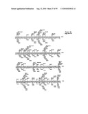 METHODS FOR CONTROLLING STEM CELL DIFFERENTIATION diagram and image