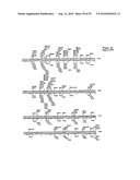 METHODS FOR CONTROLLING STEM CELL DIFFERENTIATION diagram and image