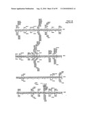 METHODS FOR CONTROLLING STEM CELL DIFFERENTIATION diagram and image