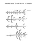 METHODS FOR CONTROLLING STEM CELL DIFFERENTIATION diagram and image