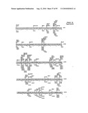 METHODS FOR CONTROLLING STEM CELL DIFFERENTIATION diagram and image