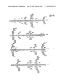 METHODS FOR CONTROLLING STEM CELL DIFFERENTIATION diagram and image