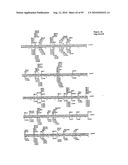 METHODS FOR CONTROLLING STEM CELL DIFFERENTIATION diagram and image