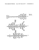 METHODS FOR CONTROLLING STEM CELL DIFFERENTIATION diagram and image