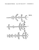 METHODS FOR CONTROLLING STEM CELL DIFFERENTIATION diagram and image