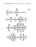 METHODS FOR CONTROLLING STEM CELL DIFFERENTIATION diagram and image