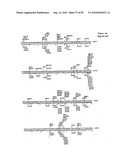 METHODS FOR CONTROLLING STEM CELL DIFFERENTIATION diagram and image