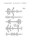 METHODS FOR CONTROLLING STEM CELL DIFFERENTIATION diagram and image