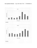 Inhibition of stem cell differentiation, enhancement of proliferation and selective induction of apoptosis by Wnt factors diagram and image