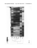 Inhibition of stem cell differentiation, enhancement of proliferation and selective induction of apoptosis by Wnt factors diagram and image