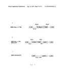 Antigen Presenting Cells diagram and image