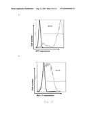 Antigen Presenting Cells diagram and image