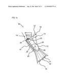 AMPHIBIOUS SHOE AND METHOD OF USE diagram and image