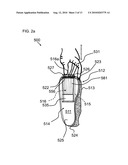 AMPHIBIOUS SHOE AND METHOD OF USE diagram and image