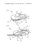 AMPHIBIOUS SHOE AND METHOD OF USE diagram and image