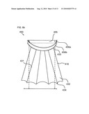 AMPHIBIOUS SHOE AND METHOD OF USE diagram and image