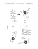 Protein scaffolds and uses thereof diagram and image