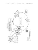 Protein scaffolds and uses thereof diagram and image