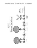 Protein scaffolds and uses thereof diagram and image