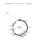 Novel Cellulases and Their Uses diagram and image