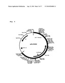 Novel Cellulases and Their Uses diagram and image