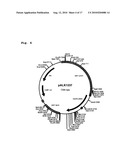 Novel Cellulases and Their Uses diagram and image