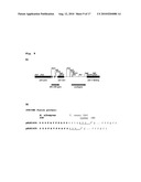 Novel Cellulases and Their Uses diagram and image