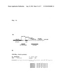 Novel Cellulases and Their Uses diagram and image